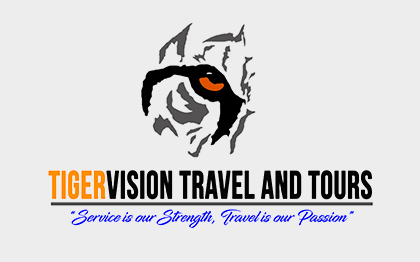 Tiger Vision